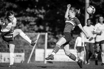 Bild 1118 - wBJ VfL Pinneberg - Rissen : Ergebnis: 8:0